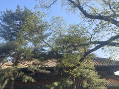 -潭柘寺景区