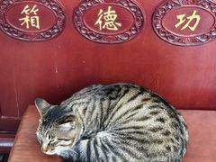 -南岳大庙