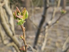 -元大都城垣遗址公园