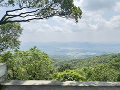 -广州市帽峰山景区