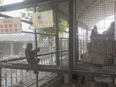 -河北村民俗体验园