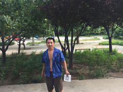 -和平搬家公司