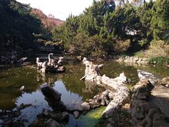 -叶家花园