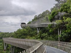 -福道