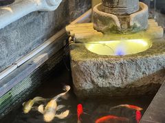 -红鼎坊·老成都火锅(新南门店)