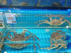 -鸿港海鲜批发市场