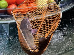 -南棠馆粤菜坊(销品茂店)