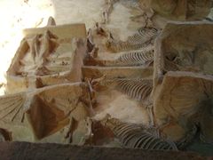 -洛阳周王城天子驾六博物馆