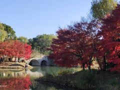 -梁鸿国家湿地公园