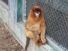 -西安秦岭野生动物园