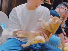 -逗柴咖啡屋·狗咖猫咖宠物桌游