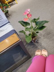 点击看大图 -FineYoga梵音瑜伽·普拉提