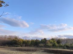 -洨河生态公园