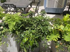 -Carmen卡门西班牙餐厅