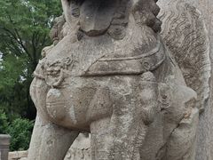 -北陵公园