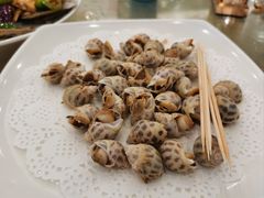 东风螺-新金盛·海鲜酒楼(盐田店)