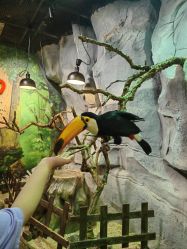 -Zoolung Zoolung动物主题公园(海信广场店)