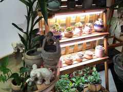 -十二舍·湯物素煮(江泰潤政店)
