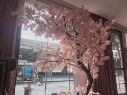 -诗丽华黛美容院