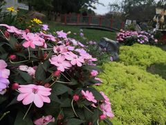 -秀丽东方