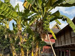 -西双版纳傣族园