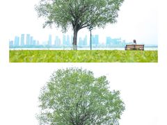 -武昌江滩
