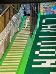 -卡通尼·Safari非洲探索乐园·生日会(金桥国际商业广场店)