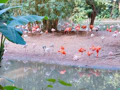 -广州长隆野生动物世界