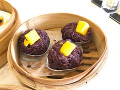 -一品粤珍轩(吴中路店)