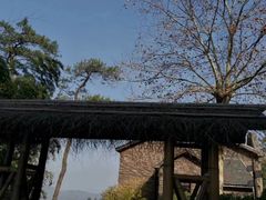 -莫干山风景区