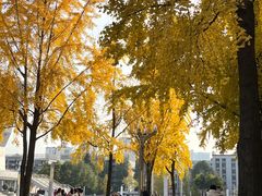-四川大学(望江校区)