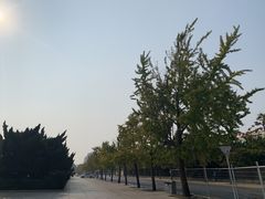 -大连人民广场