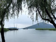-香雪海