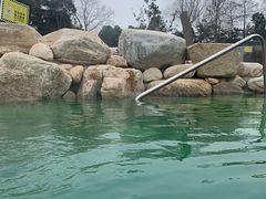 -太阳岛旅游度假区