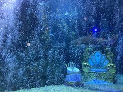 -暹罗海洋世界