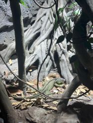 点击看大图 -Zoolung Zoolung动物主题公园(海信广场店)