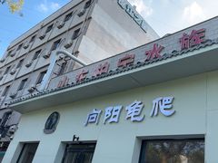 -山东柏宁水族批发广场