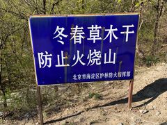 -大觉寺-停车场