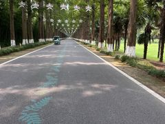 -黄海国家森林公园