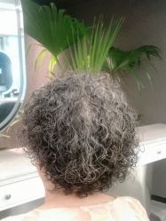 -P.R.O.salon 发哲
