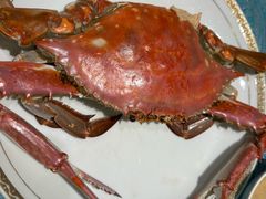 -北塘海鲜·天津菜(大光明桥旗舰店)