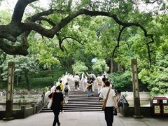 -普陀山风景名胜区-法雨禅寺