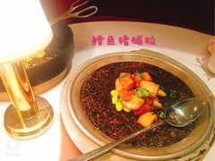 -西郊5号·Maggie 5