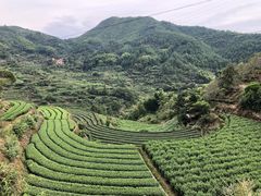 -杨家堂村