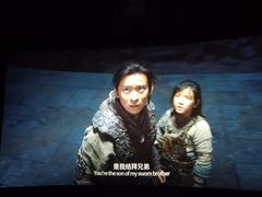 -武商摩尔影城(国广IMAX激光店)