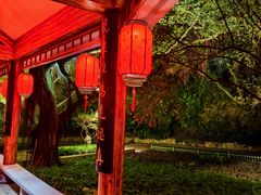 -金鸡山公园