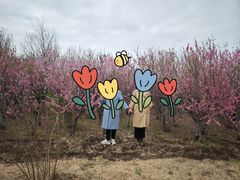 -天津东丽湖风景区