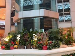 -上海新锦江大酒店