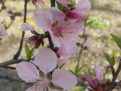 -江南大学(蠡湖校区)