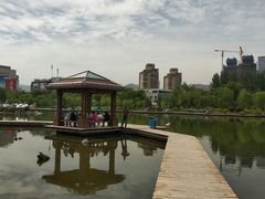 -雁滩公园